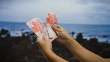 El ele tutuşan Meksika pesoları deniz kenarında bir yerde finansal planlama ya da tatil masraflarını akla getiriyor..