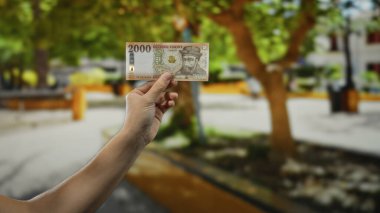 Elinde Macar banknotları tutan bir adam yeşil ağaçlı ve bulanık arka planlı bir parkta mali konuları doğal bir ortamda resmediyor..