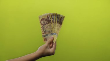 İzole edilmiş sarı bir zemin üzerinde Macar forint banknotları tutan adam, finans, zenginlik ve döviz tanıma kavramını vurguluyor.