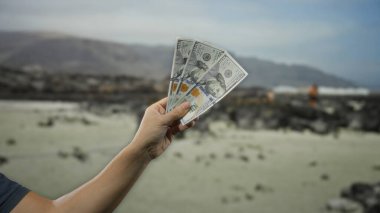 Amerikan dolarlarını sahil kenarında tutan adam, açık deniz manzarası ve uzak manzara ile, açık hava özgürlüğü ve finansal başarı duygusunu yakalıyor..