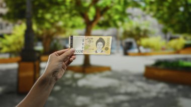 Güney Kore 'yi elinde tutan adam bir parkta para kazandı. Gündüz vakti bir bahçe arkaplanına karşı para sergiliyordu..