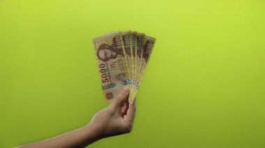 Macar forint banknotları tutan adam canlı sarı bir zemin üzerinde, para birimi ve finans temalarını vurguluyor.