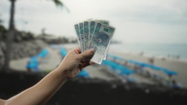 Deniz kenarındaki bir kumsalda, parlak mavi güneşli yatakları ve engin okyanus ufkuyla sakin bir açık hava sahnesinde parlak paralar sergiliyor..