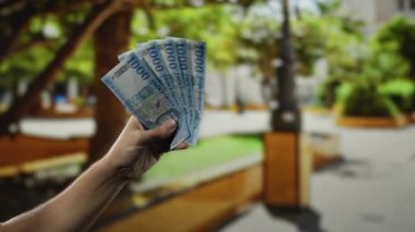 El ele tutuşan Macar paraları parkın dışında, doğal ortamda sergilenecek para ve finansman ayarlanıyor..