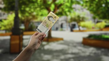 Güney Kore 'yi elinde tutan adam açık havada, yemyeşil bir parkta banknot kazandı. Doğal bir bahçe ortamında finans ve para birimi temasını yakaladı..