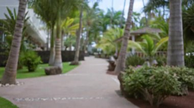 Palmiye ağaçları ve yemyeşil yemyeşil ile bulanık arkaplanlı tropik tatil beldesi