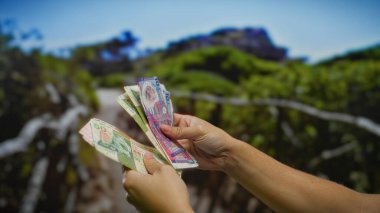 Hong Kong dolarlarını açık havada tutan, parktaki paraları sayan, ağaçlar ve bulanık sokak manzaralı bir şehir ortamında yatırım potansiyeli gösteren bir adam..