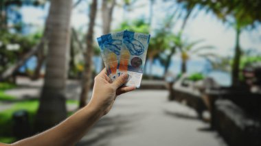 İsviçre frangı banknotları tutan bir adam açık havada verimli bir park ortamında, palmiye ağaçları ve canlı yeşilliklerle çevrili.