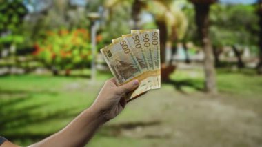 Parkta Norveç banknotları tutan bir adam, açık hava zenginliğini ve finansmanı temsil eden, yemyeşil bir bahçesi olan 500 kronu sergiliyor..