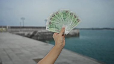 Sakin dalgalar ve bulutlu gökyüzü ile sakin bir günde deniz manzarası karşısında dolar tutan bir adam..