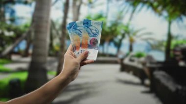 Parkta yemyeşil ağaçlarla dolu İsviçre frangı banknotları tutan bir adam, para değişimi kavramını yakalıyor ya da açık hava servetini serin bir bahçe ortamında yakalıyor..