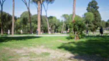 Bulanık manzaralı villa borghese bahçeleri, dağılmış ağaçlar ve yürüyen figürler Roma 'da açık hava rahatlığının özünü yansıtıyor..