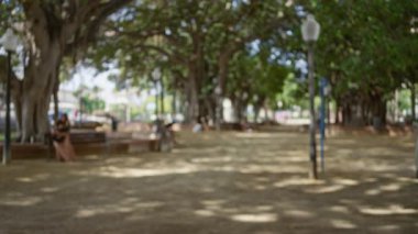 Arka planında bulanıklık olan açık hava parkı sahnesi, uzun ağaçlar, banklar, lambalar ve güneşli bir günde gölgede tek başına oturan bir kadın..