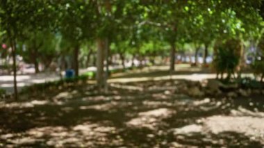 Bulanık park sahnesinde ağaçlar ve güneş ışığı doğal bir doğa manzarası üzerinde bokeh etkisi yaratıyor.