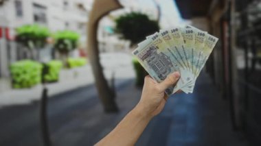 Arka planda bulanık şehir manzarası olan, kentsel bir ortamda finans ve zenginliği vurgulayan, sokakta elinde Romen banknotları tutan bir adamın eli.