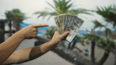 Açık deniz sahillerinde Amerikan dolarlarını tutan bir adam. Arka planda palmiye ağaçları ve su olan banknotlar sergiliyor. Finansal başarıyı vurguluyor..
