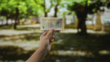 Zengin bir parkta Danimarka Kronu 'nu elinde tutan adam, Danimarka' nın ekonomisini ve finansmanını sembolize eden canlı yeşil bahçe arka planına karşı para sergiliyor..