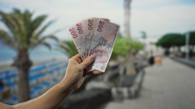 Deniz kenarında Türk lira banknotları tutan bir adam, arka planda deniz ve deniz manzaralı, seyahat ve finans karışımı bir şey yakalıyor..