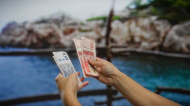 İsveç Krona 'nın deniz kenarındaki banknotlarını tutan adam, yaz tatili temalı seyahat ve yatırımı resmediyor..