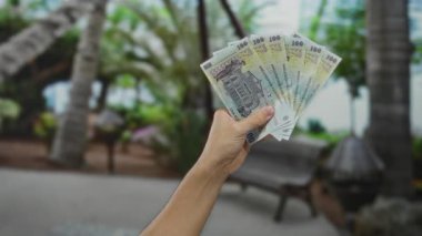 Romen banknotlarını açık havada yeşil bir park ortamında tutan erkek el, arka planda canlı nitelikte finans temaları sergiliyor.