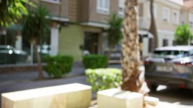 Bulanık arka plan sahnesi. Güneşli bir günde çözünmüş bitkiler, park edilmiş araba, bina, palmiye ağacı ve yeşil çalılar.