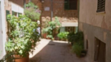 Mallorca vitrinlerinde odaksız köy sokağı. Arka planında tuğla duvar olan bitkiler.
