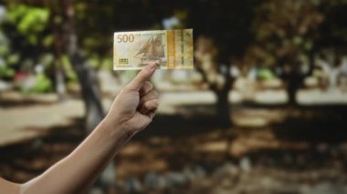 Norveç Kronu 'nu arka planda bulanık bir parkta tutan adam..