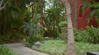 Bereketli tropikal bahçe, kırmızı lüks bir tatil köyünü çevreleyen canlı yeşillik, sakin bir açık hava ortamı yaratıyor..