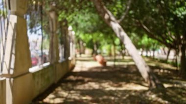 Odaklanamayan ağaçlar, güneş ışığı ve arka plandaki bahçe parkında gölgeler olan bulanık bir yol.