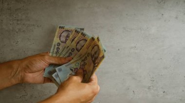 Romen lei banknotlarını elinde tutan adam, renkli para birimlerine ve onların karmaşık detaylarına odaklanıyor..