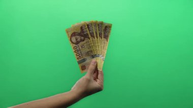 El ele tutuşan Macar banknotları, finansal kavramlar için izole edilmiş yeşil bir arka plana yayılmış..