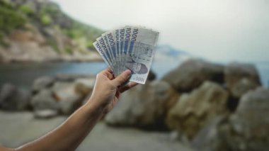 Güney Kore 'yi elinde tutan adam arka planda su ve taşlarla kumsalda açık hava finansal konsept sahnesini çekerek deniz kenarında banknotlar kazandı..