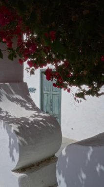 Haria Town, Lanzarote 'da çiçek açan begonvillerle çevrili yeşil kapılarla beyaz duvarın yanından geçen bir kadın.