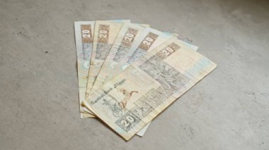 Mısır banknotları, her biri 20 pound değerinde, somut bir yüzeyde zarif bir şekilde yelpazelenmiş, Mısırın kültürel zenginliğini ve para biriminin detaylarını resmediyor..