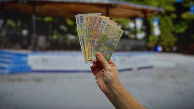 Bir şehir parkında elinde Romen leu banknotları tutan adam, Romanya 'daki mali işlemleri vurgulayarak, bulanık bir kentsel geçmişe sahip yerel para birimini gösteriyor.