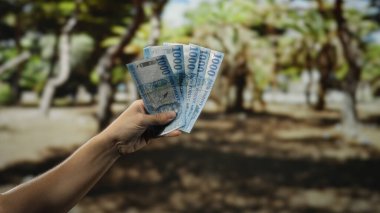 Elinde Macar parkı banknotları tutan bir adam açık havada, yemyeşil bir bahçe ortamında, sergilenen para birimi ve doğa huzurlu bir ortamda iç içe geçiyor..
