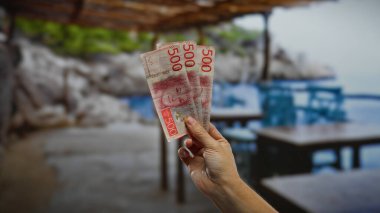 İsveç 'te deniz kenarında el ele tutuşan banknotlar, yaz tatilinde yatırım ve mali kararların özünü yakalar..