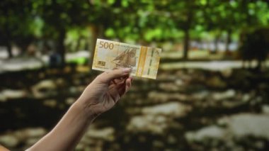 Arka planda bulanık yeşil bahçesi olan açık hava parkı ortamında Norveçli kron banknotları, doğayı kapsayan değişim veya finans kavramını resmediyor..