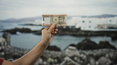 Deniz kenarındaki kumsalda elinde Macar banknotları olan bir adam, deniz manzaralı bir sahil manzarasının ortasında elinde para gösteriyor..