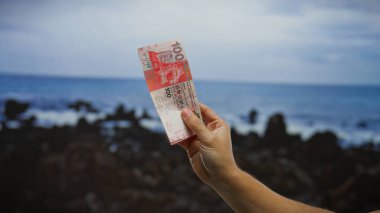 El ele tutuşan Hong Kong Doları banknotu deniz kenarında, manzaralı bir kumsal zeminine karşı yatırım ve döviz alışverişini simgeliyor..