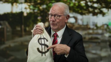 Takım elbiseli kıdemli bir adam, elinde para çantası ve Sunny Park 'ta üzerinde dolar işareti olan açık hava zenginliği ve yozlaşma kavramını gösteren bir çanta taşıyor.