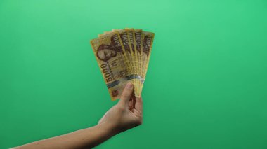 İzole edilmiş yeşil bir arka plan duvarına karşı Macar banknotları tutan adam para ve finans kavramlarını gözler önüne seriyor..