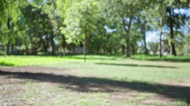 Roma 'daki villa borghese bahçesindeki yemyeşil ve ağaçların bulanık manzarası, açık hava sükunetinin ve doğanın barışçıl atmosferinin özünü yakalıyor..