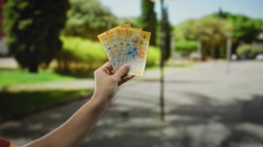 Arka planda parkı ve bahçesi olan, para ve finansmanı ön plana çıkaran bir adam tarafından tutulan İsviçre banknotları..