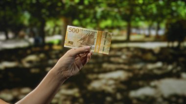 Yeşil ve güneş ışığıyla çevrili parkın dışında Norveç kronu ile el ele tutuşmak..