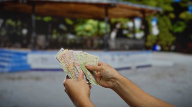 Romen lei banknotları tutan adam şehir parkı ortamında iş ve para birimi temalarını sokak ortamında resmediyor..