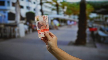 Norveç Kronu 'nu elinde tutan adam, Norveç ekonomisinde yatırım ve iş fırsatlarını temsil eden bir şehir caddesinde açık hava banknotları tutuyor..