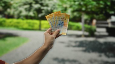 İsviçre frangı banknotları tutan bir adam açık havada, yemyeşil park ortamının ortasında, canlı bahçe arkaplanına karşı göze çarpan para sergiliyor..