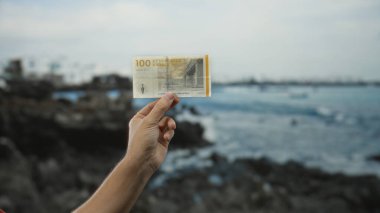 Danimarka kronu banknotunu deniz kenarında elinde tutan adam, arka planda okyanus ve kayalar, kıyı ortamlarında seyahat veya finansmanı sembolize ediyor.