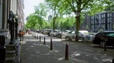 Park halindeki arabalara ve güneş ışığında yeşil ağaçlara odaklanmış bulanık Amsterdam caddesi manzarası tipik bir Hollanda kentsel manzarasının özünü yakalıyor..